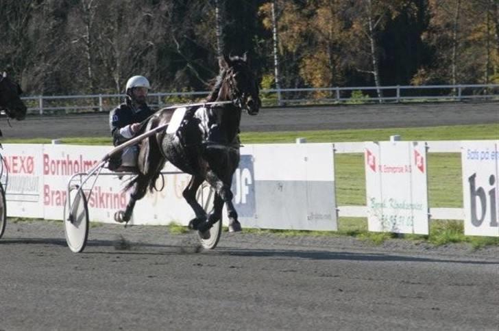 Traver jonte streamline (s) billede 8