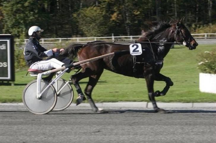 Traver jonte streamline (s) billede 9