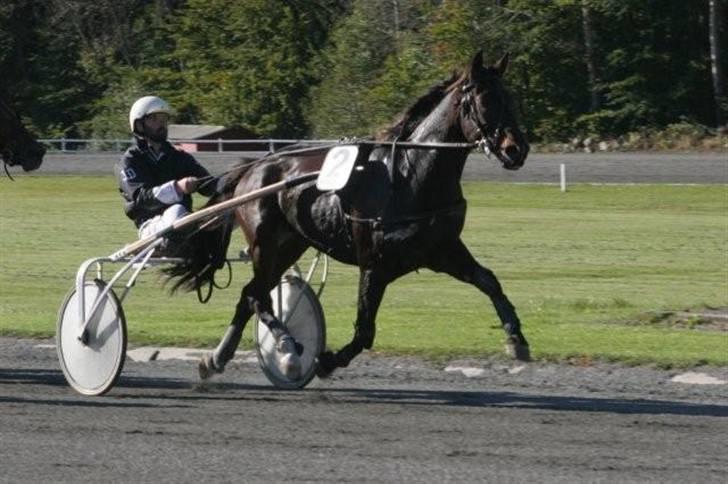 Traver jonte streamline (s) billede 10