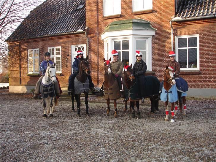 New Forest alina - jule tur 2007 mig og alina er nr. 2 længst ud til højre.. er vi ikke fin med nissehue hehe billede 12