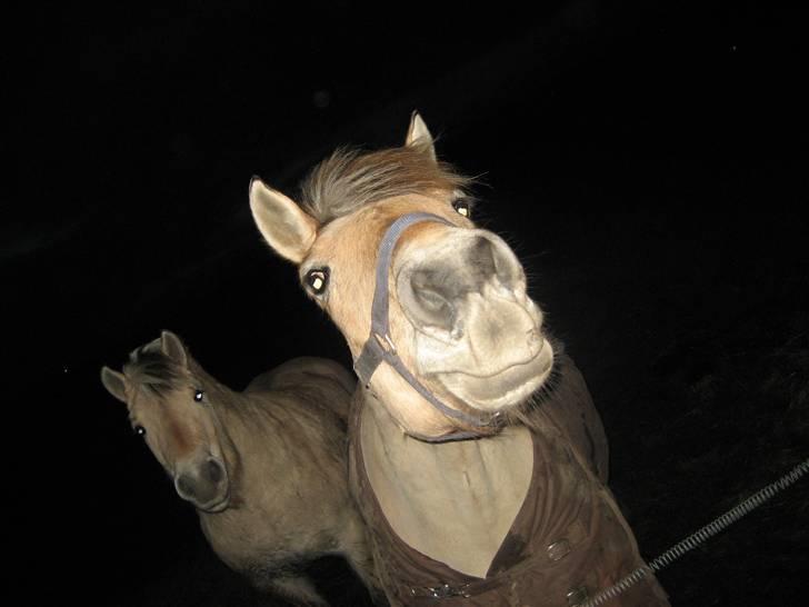 Anden særlig race Frede <3 Lånt Videre :/ - Haha, den lille dreng er sulten <3 billede 5