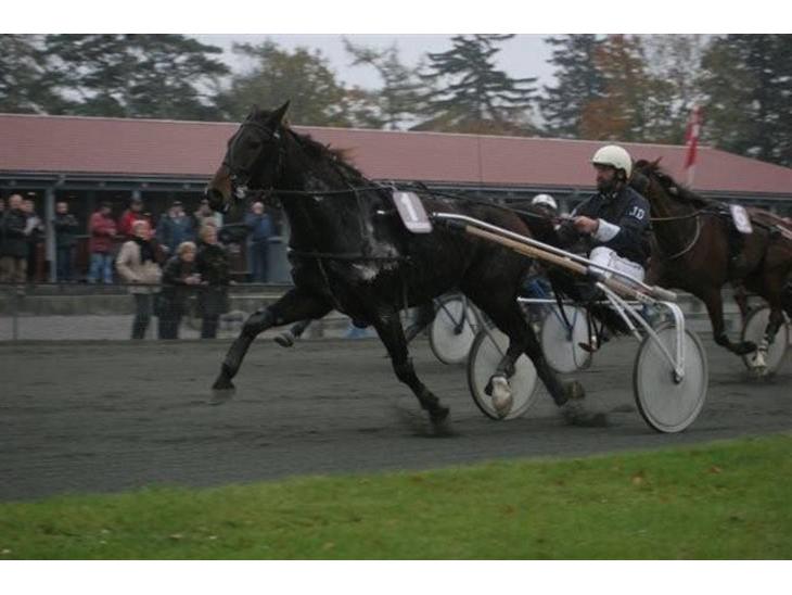 {{currentPhoto.altText}} billede {{currentPhoto.number}}