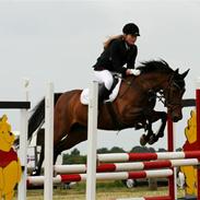 Hollandsk Sportspony Patty RIP