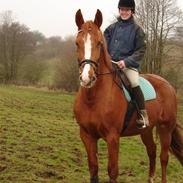 Frederiksborg Fay Hegnsbo (solgt)