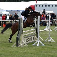 Hollandsk Sportspony Patty  RIP