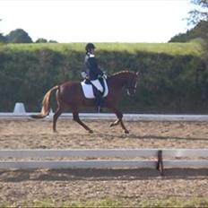 DSP Fantasy *DØD* :.(