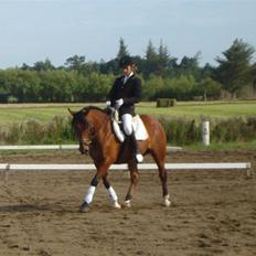 DSP Bæklunds Lorenzo solgt