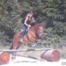 DSP Bæklunds Lorenzo solgt