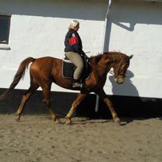 Anden særlig race Freja<33