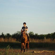 Anden særlig race Freja<33