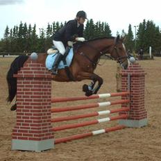 Holstener Lillestaruphøjs Casmir himmelhest 