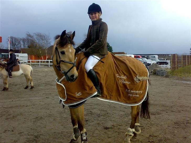 New Forest Orchid's Thymo  - Aflivet - Thymo & Jeg (:  billede 16