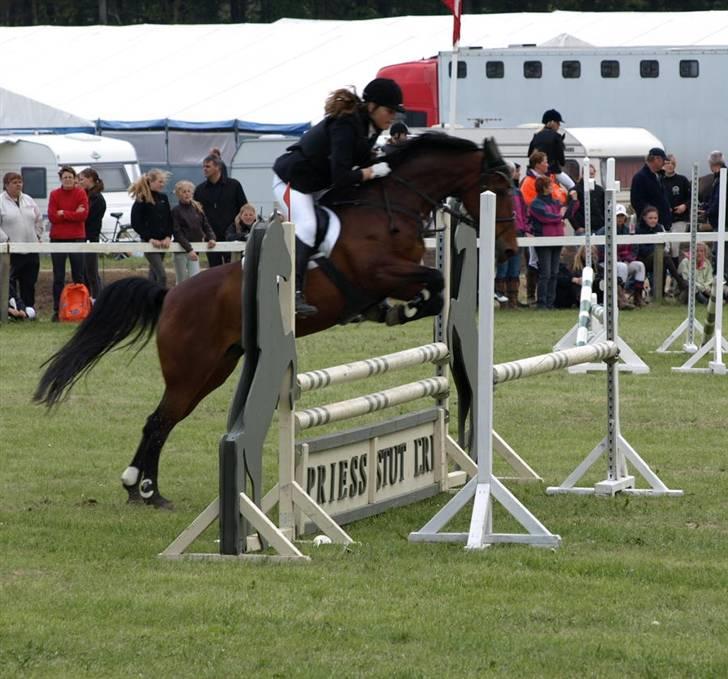 Hollandsk Sportspony Patty  RIP - 2# Morsø 2009 billede 2