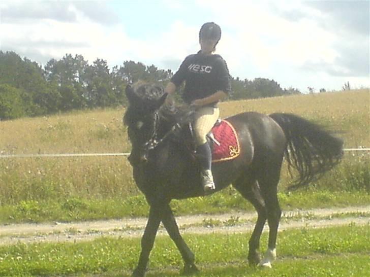Anden særlig race Lightning R.I.P :'( - jeps Lightning kan godt gå pænt - sorry at kvaliteten ikk er særlig god men er taget fra min mobil billede 13