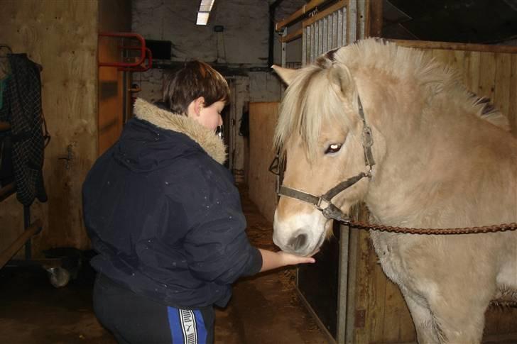 Fjordhest Attilla - Det er mig og Linetta hun giver mig en godbid for hun ved jeg elsker dem(: billede 2