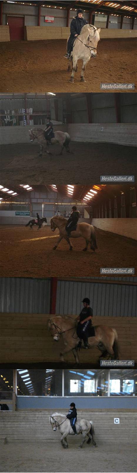 Fjordhest Attilla - Mig og Linetta rider dressur(: vi er dygtige(: billede 3