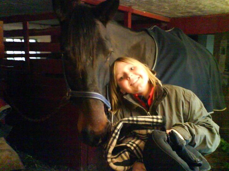 Trakehner Tripoli ( SOLGT) - Stella og tripoli billede 8