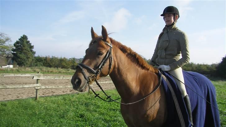 Anden særlig race Kalinka - Vi skridter rundt om ridehuset billede 14