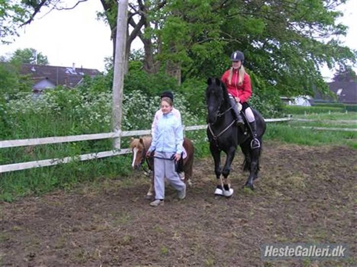 Frieser Hilda B billede 6