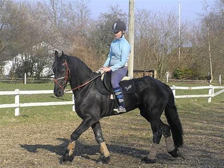 Frieser Hilda B billede 9