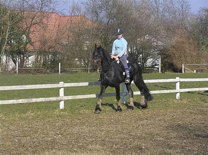 Frieser Hilda B billede 11