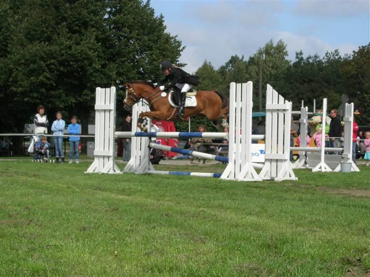 Anden særlig race bailey solgt - 2006 billede 2