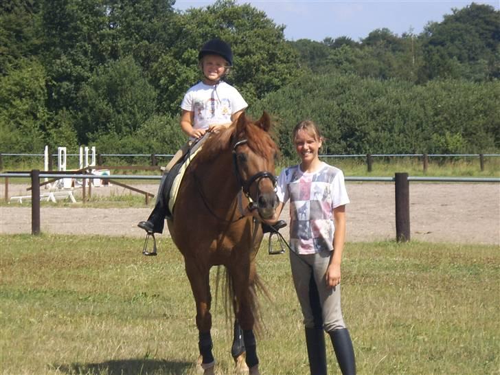 Hollandsk Sportspony Amadeus SOLGT - Min grankusine Laura tager en tur på amse billede 11