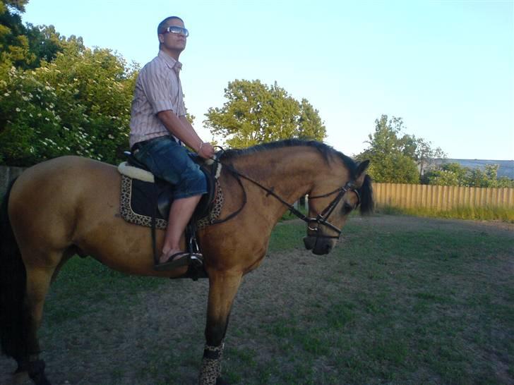 Anden særlig race * Stjerne * - Daniel skulle lige prøve Stjerne <3 billede 17