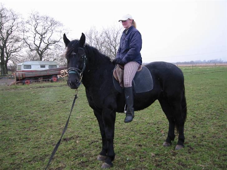 Oldenborg celina - 2/12008 det var dejlig at komme op og sæde på hinde billede 11