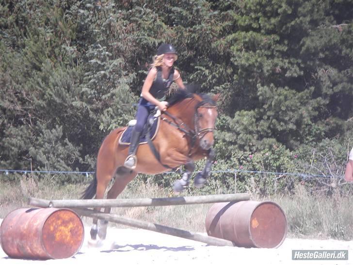 DSP Bæklunds Lorenzo solgt - hotte Lorenzo <3 også fra mobilen <3 billede 2