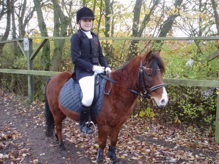 Anden særlig race Julianebjergs Fadango billede 8