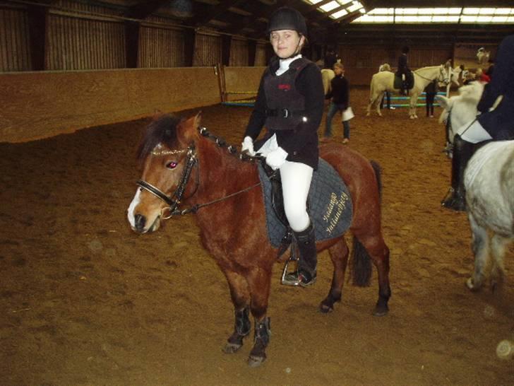 Anden særlig race Julianebjergs Fadango billede 9