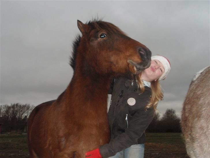 Islænder Tjalfe(ikk Min)R. I. P - Kyss Kyss? xD<3 billede 13