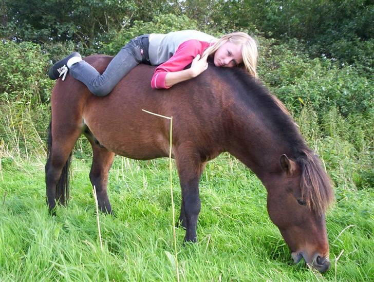 Islænder Tjalfe(ikk Min)R. I. P - Hygger, ! :D<3 billede 19