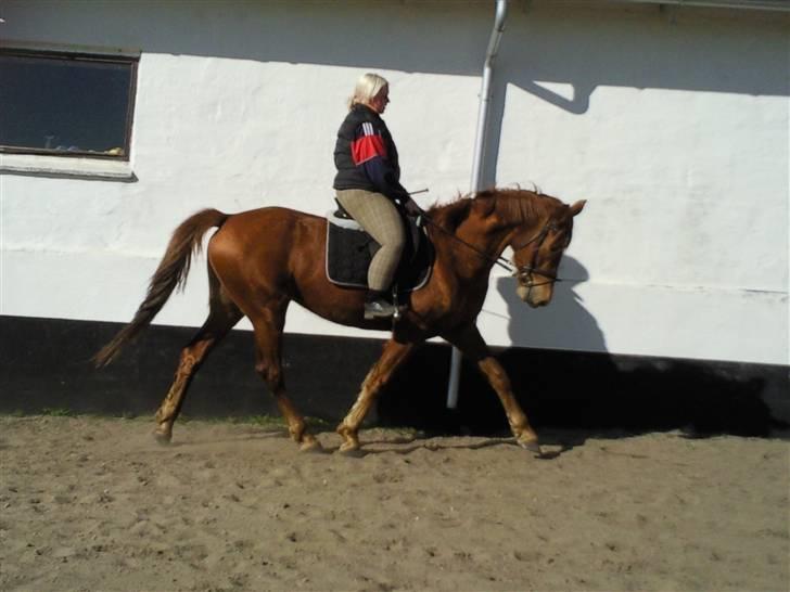 Anden særlig race Freja<33 - Velkommen til Frejas profil! Læg gerne en bedømmelse og en kommentar? :o) billede 1