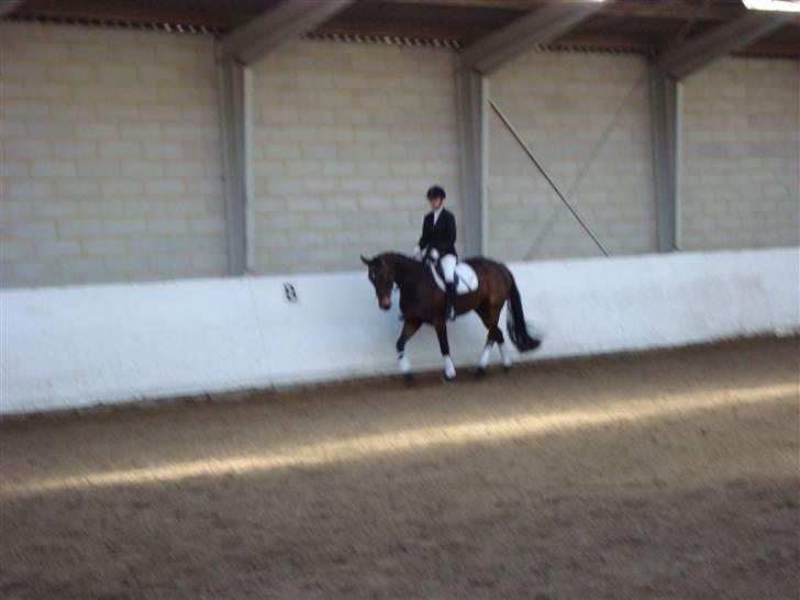 Anden særlig race Jamo - RIP 30/05 - 2011:'( - Katja rider stævne på mrr d. 5/10 billede 1
