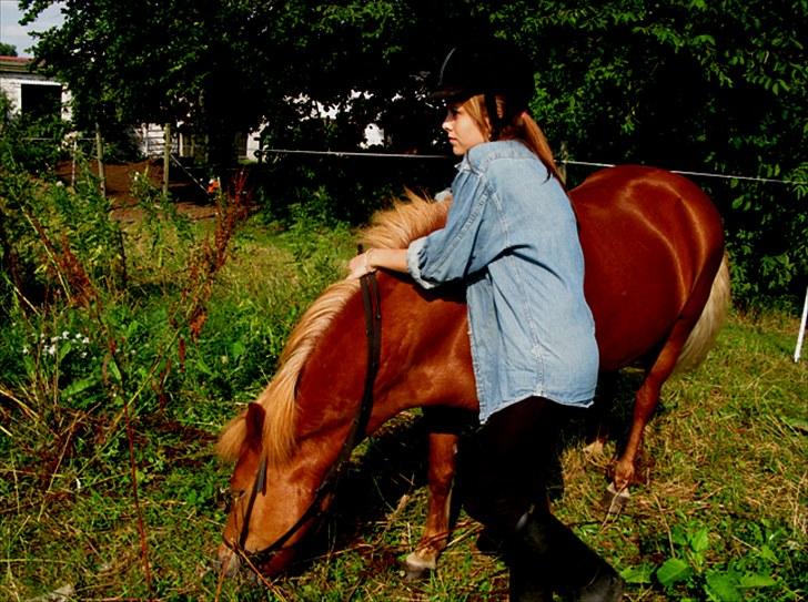 Islænder Embla fra Hessellund  - Embla og jeg i sommerferien 2010. De gode og savnede tider inden det hele blev seriøst, inden jeg startede på gymnasie og inden vi skiftede opstaldningsplads. billede 9