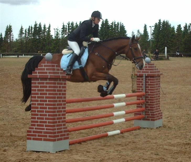 Holstener Lillestaruphøjs Casmir himmelhest  - DSA Holstebro 2008 billede 3