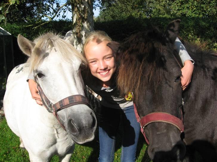 Shetlænder Beauty   *SOLGT* - Familiebillede inden vi tog afsted..Du vil altid have en plads i mit hjerte<33 billede 18