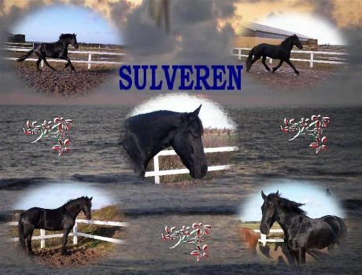 Frieser Sulveren - SOLGT billede 11