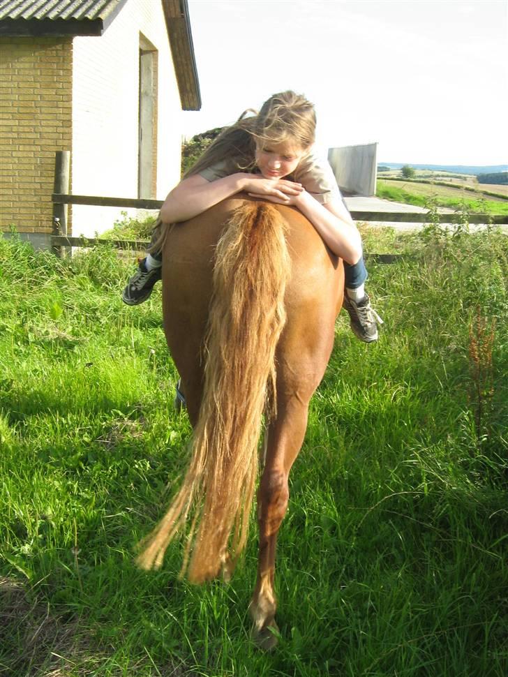 Anden særlig race Rosita solgt :´(   - Det kan bare ikke blive beder<3 Foto : min mor billede 17