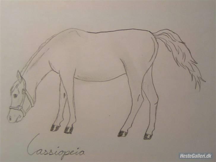 Anden særlig race cassiopeia - det er lærke h der har tegne cassiopeia det er billede nr 1 hun har tegnet  billede 13