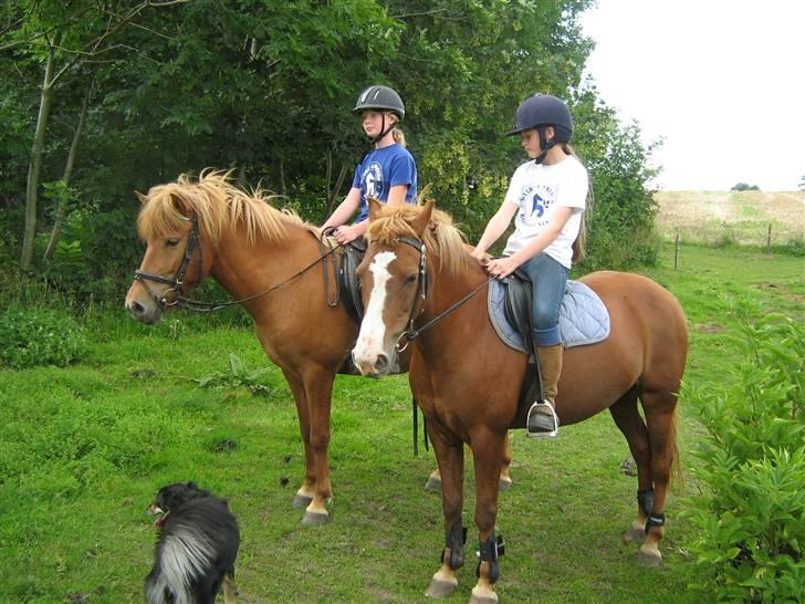 Anden særlig race Rosita solgt :´(   - Så rider vi............ Foto : min mor billede 19