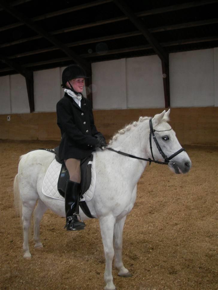 Anden særlig race I WIL LOVE YOU 4-EVER!!!! - her er vi til stævne på sjølund rideskole. vi startede lc1 og fik en flot 3 plads:) billede 1