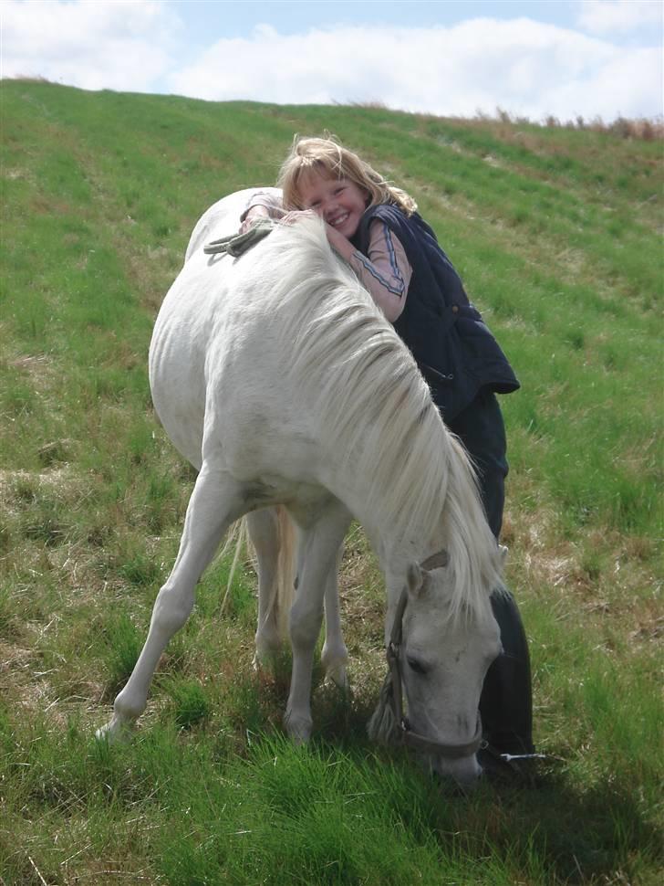 Anden særlig race I WIL LOVE YOU 4-EVER!!!! - vi var på en stor mark for at tage billdeder XD (dette billdede var farvoriten ;D) billede 3