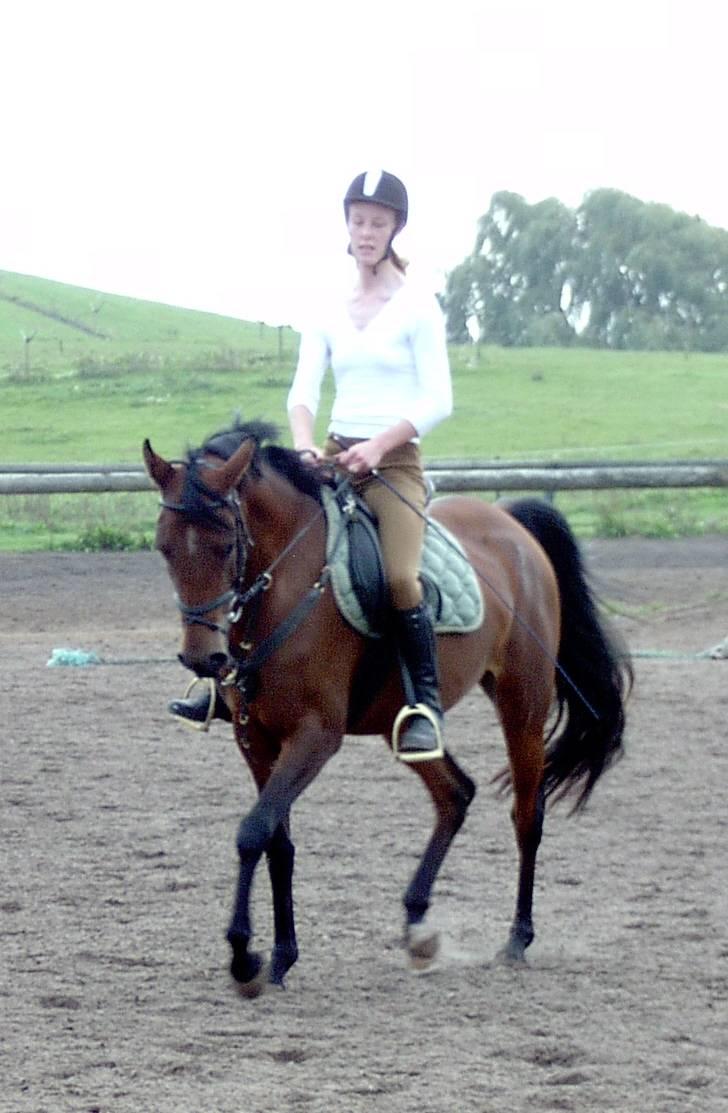 Arabisk fuldblod (OX) Marcijawa ox 3626 - Mig og Marcijawa 1 måned efter tilridning år 2006 billede 3