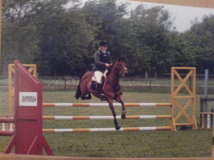 Sportsaraber (A) Murgab  billede 3