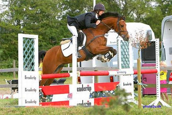 Sportsaraber (A) Murgab  billede 16