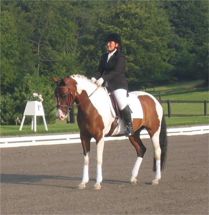 Pinto Isabaue - Her rider Katrine Isabaue til et dressurstævne i 2005 billede 14