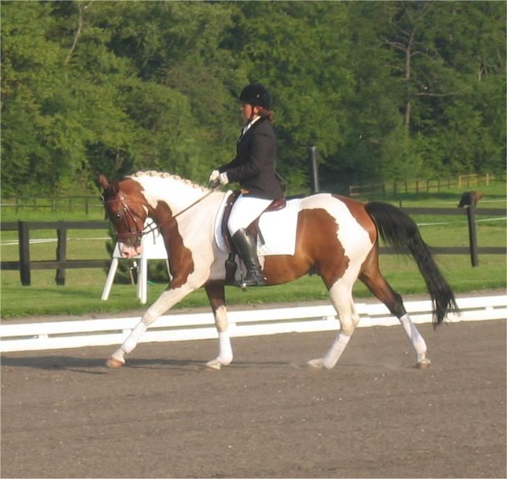 Pinto Isabaue - Her rider Katrine Isabaue til et dressurstævne i 2005 billede 15